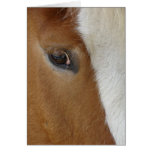 Eye of Horse Card