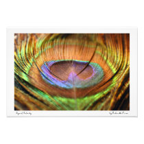 Eye of Infinity photography