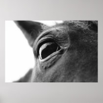 Eye of pony 1 print