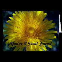 Eye Of The Beholder cards