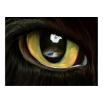 Eye of the Beholder Fine Art Print