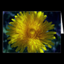 Eye Of The Beholder Greeting Card cards