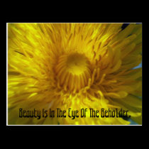 Eye Of The Beholder Postcard postcards
