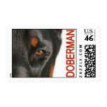 Eye of the Doberman Postage