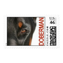 Eye of the Doberman Postage
