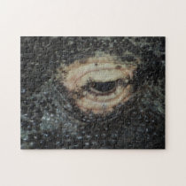 Eye of the Dragon Puzzle puzzles