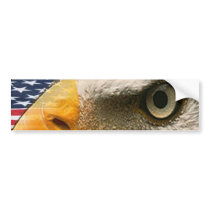 EYE OF THE EAGLE (USA PATRIOTIC AMERICAN) bumper stickers by politicallyOFF EYE OF THE EAGLE (USA PATRIOTIC AMERICAN) bumper stickers