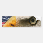 EYE OF THE EAGLE (USA PATRIOTIC AMERICAN) BUMPER STICKERS