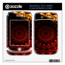 Eye of the Iguana Fractal Zazzle Skin skins