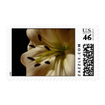 Eye of the Lily postage