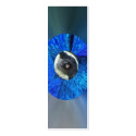 Eye of the Peacock, Bookmark business cards by SeaAngel Eye of the Peacock, Bookmark business cards
