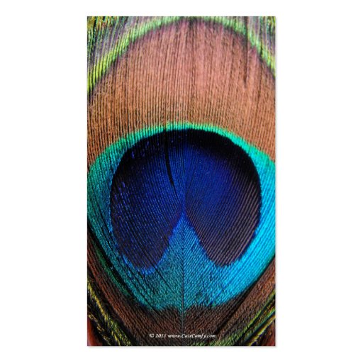Eye of the Peacock Feather Close-Up Business Cards (back side)
