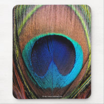 Eye of the Peacock Feather Close-Up Mousepads