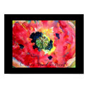 "Eye of the Poppy" Poster posters