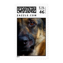 Eye of the Shepherd Stamps