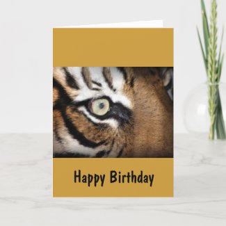 Eye Of The Tiger Cards