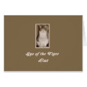 Eye of the Tiger CAT Card