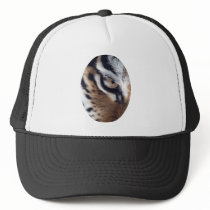 Eye of the Tiger hats by deleas Eye of the Tiger hats