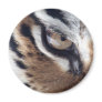 Eye of the Tiger Refrigerator Magnet