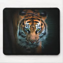 Eye of the Tiger mousepads