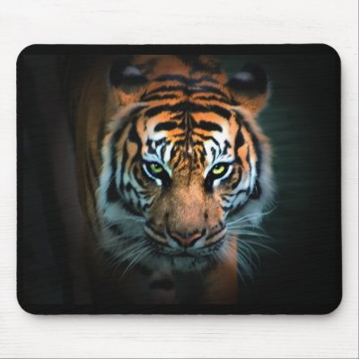 Eye of the Tiger Mouse Mat by zack12349