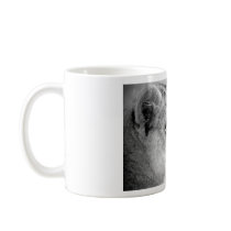 Eye Of The Tiger Coffee Mug