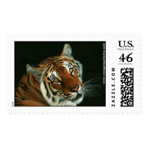 Eye of the Tiger postage stamp