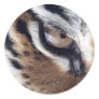Eye of the Tiger Sticker