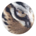 Eye of the Tiger stickers by deleas Eye of the Tiger stickers