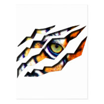 tiger, cat, big, eye, wild, nature, tigers, digital, graphic, wildlife, eyes, Postcard with custom graphic design