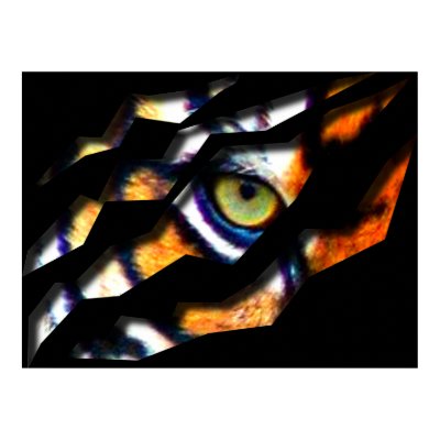 Eye Of The Tiger Tear Through Print by DragonCat