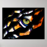 Eye Of The Tiger Tear Through Print
