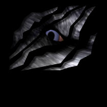 Eye Of The Wolf Tear Through Tee