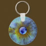 Eye On Earth