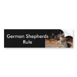 Eye on the Ball Bumper Sticker