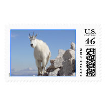 Eye on You Stamp
