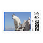 Eye on You Stamp