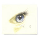 Eye posters by Azaneal Eye posters