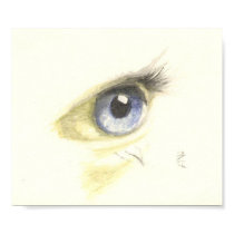 Eye posters by Azaneal Eye posters