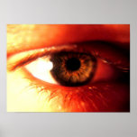 Eye Poster