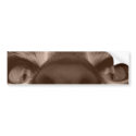 eye see you bumper stickers by M_Cavet eye see you bumper stickers