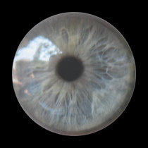 Eye See You Fridge Magnet magnets