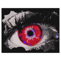 Eye Spy Flyer Design