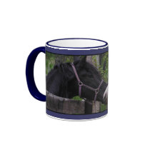 Eye to Eye Horse Mugs