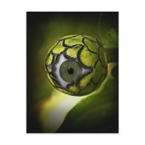 Eye will See you In The Garden, Tonight! postcards by gravityx9 Eye will See you In The Garden, Tonight! postcards
