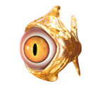eyefish photo sculptures
