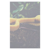 Eyelash viper, Mexico and California Custom Stationery