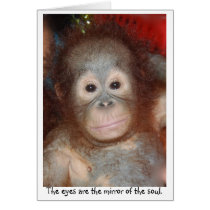 Eyes are the mirror of the soul. cards by Rebecca_Reeder Eyes are the mirror of the soul. cards