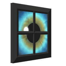 Eyes Are Windows To The Soul Wrapped Canvas Prints