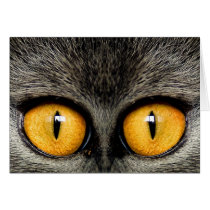 EYES cards